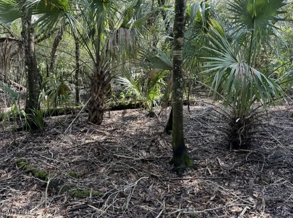 36XX 38th Avenue SE Naples FL 34117