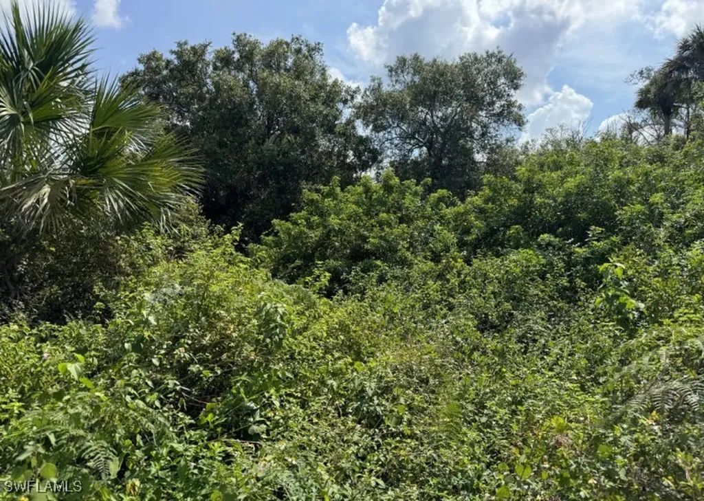 36XX 38th Avenue SE Naples FL 34117