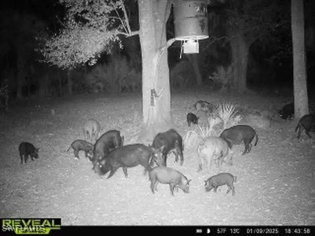 28420 Mullet Road Labelle FL 33935