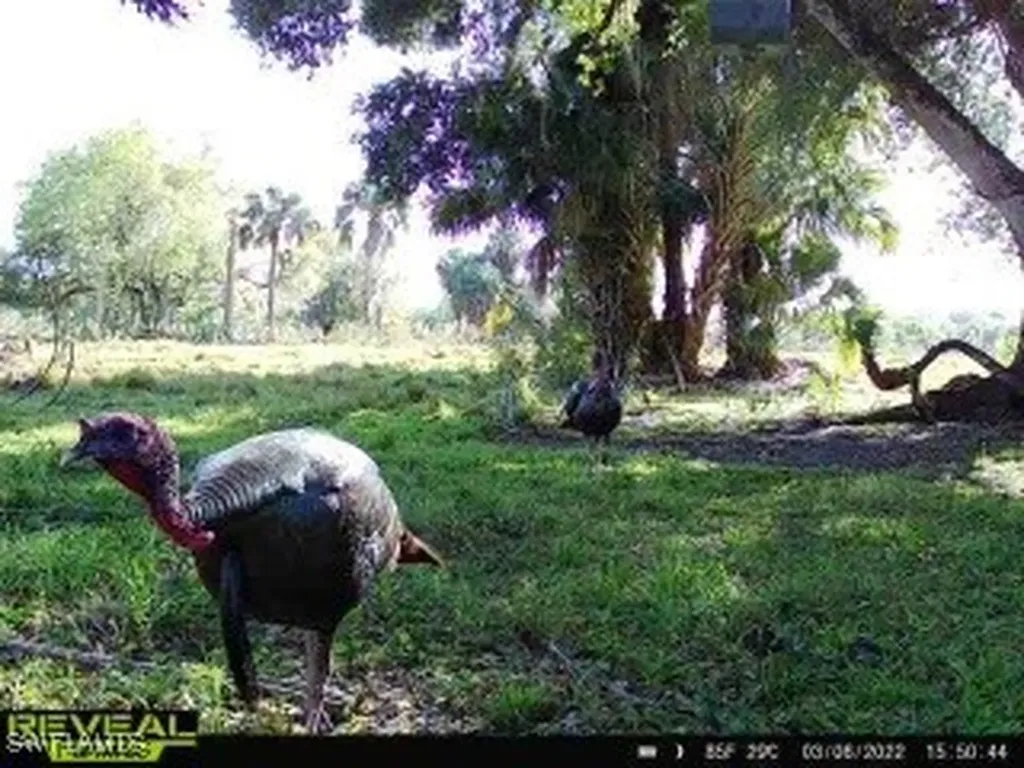 28420 Mullet Road Labelle FL 33935