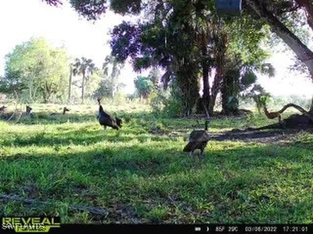 28420 Mullet Road Labelle FL 33935