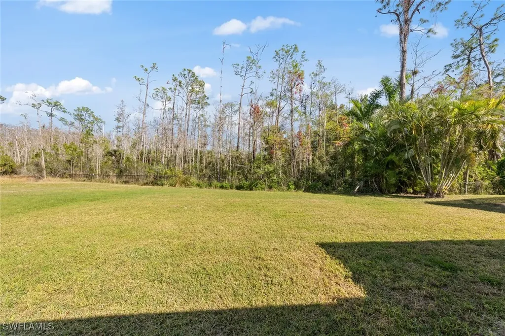 21179 Braxfield Loop Estero FL 33928