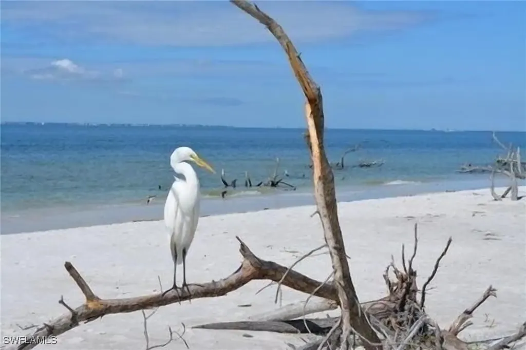 7360 Estero Boulevard Fort Myers Beach FL 33931
