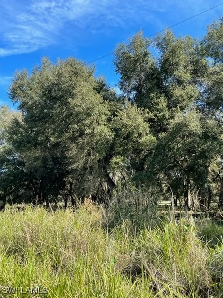 501 Norris Road Labelle FL 33935