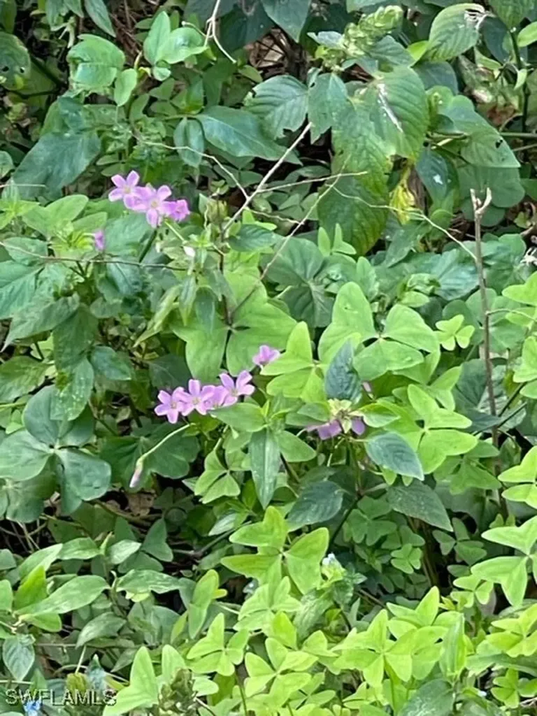 501 Norris Road Labelle FL 33935