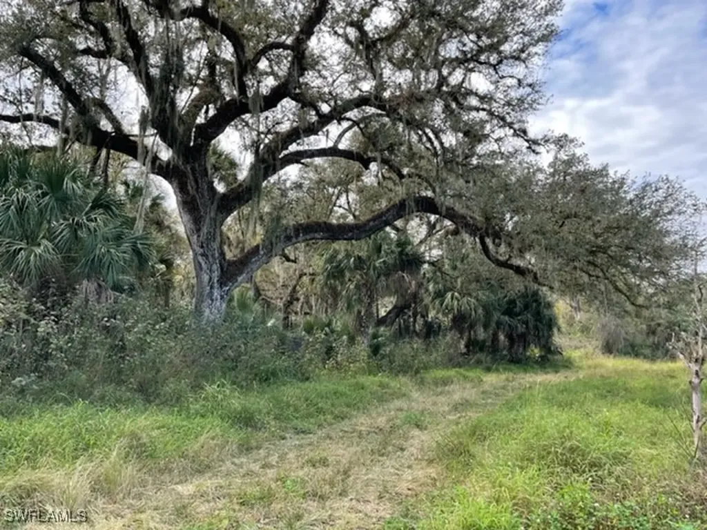 501 Norris Road Labelle FL 33935