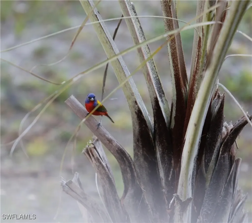 6831 Tropical Lane Bokeelia FL 33922