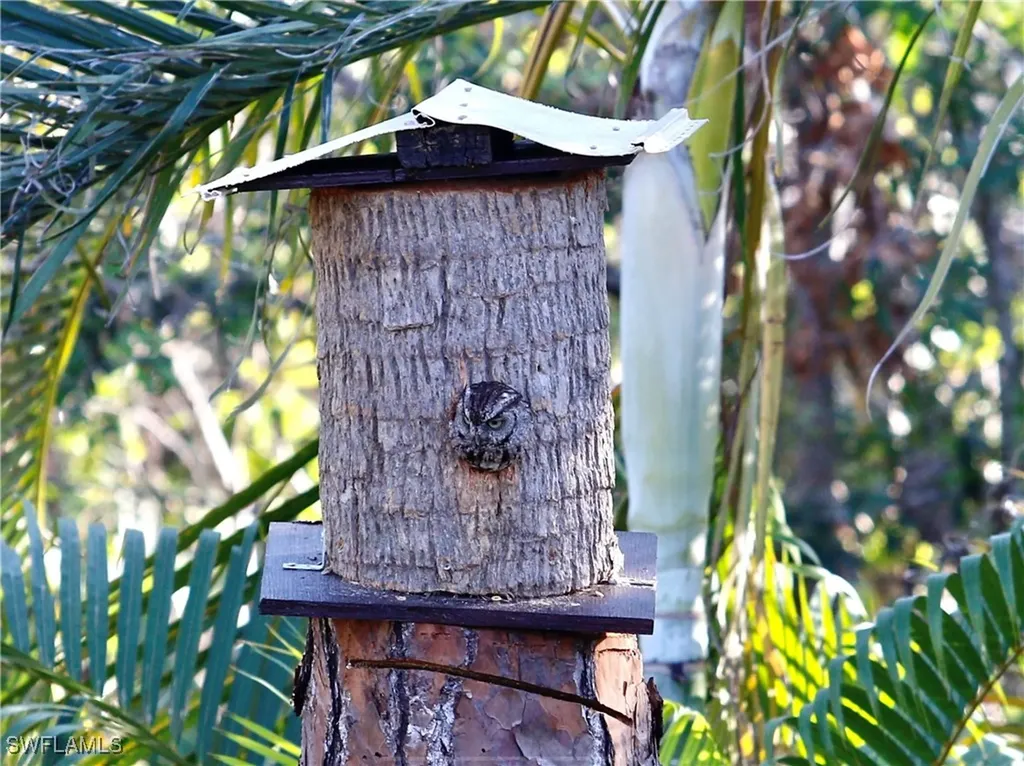 6831 Tropical Lane Bokeelia FL 33922