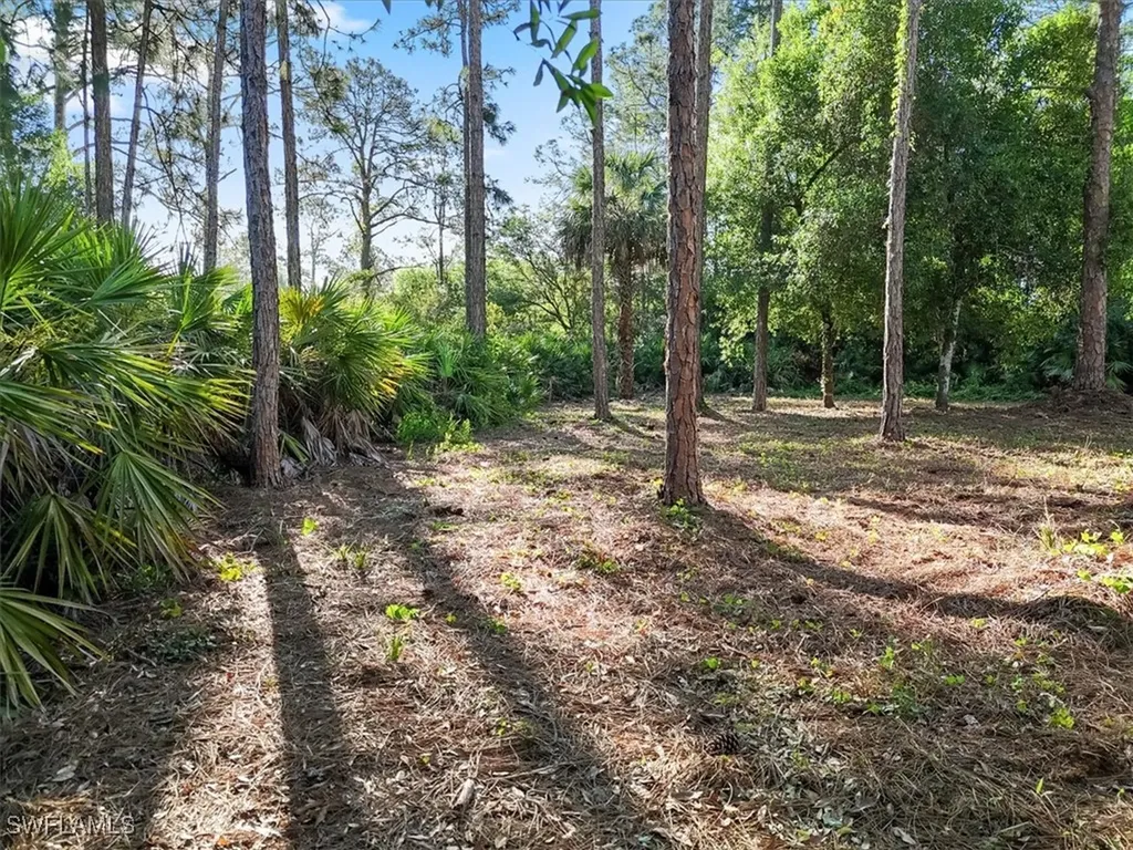 107 Rosemont Place Labelle FL 33935