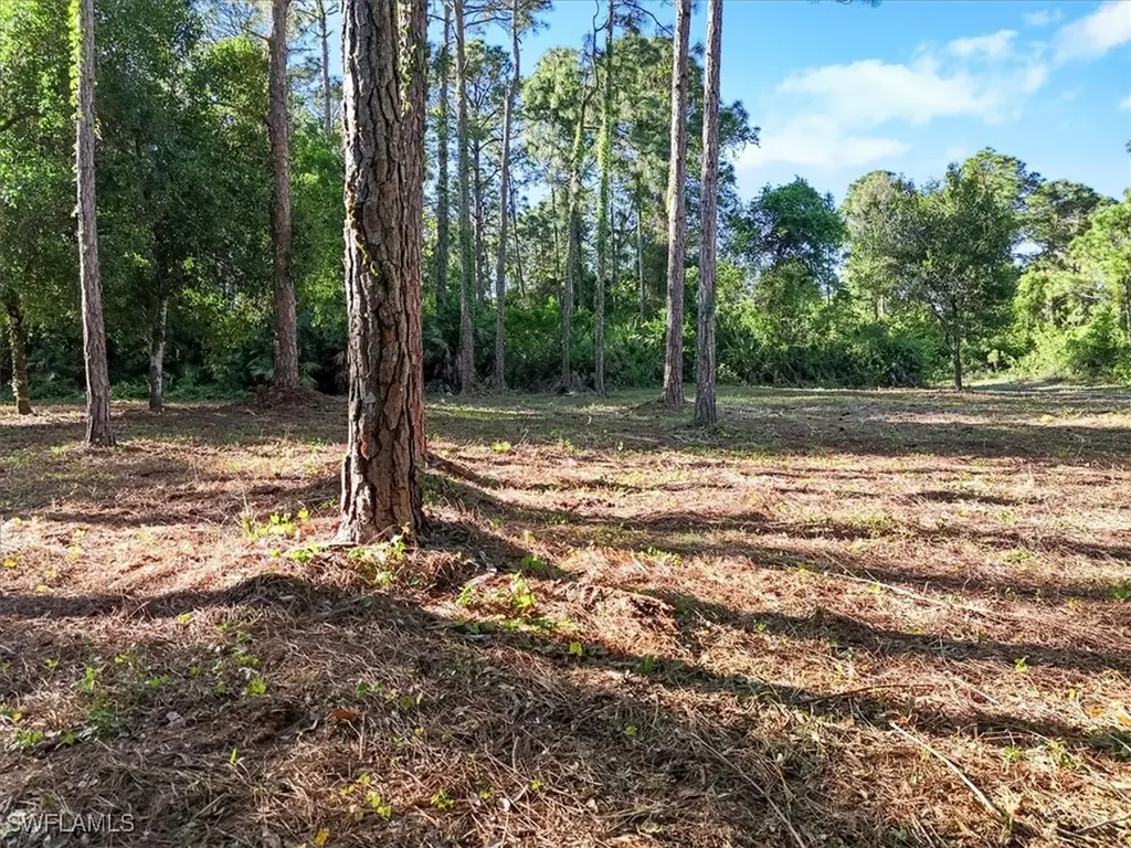 107 Rosemont Place Labelle FL 33935