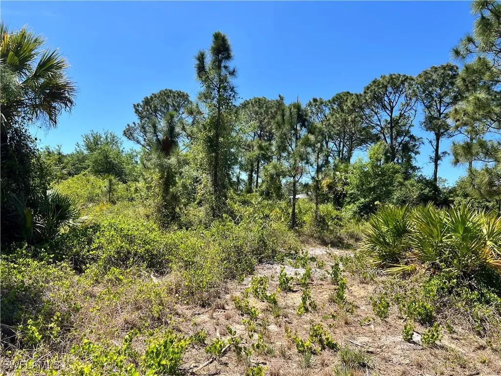 338 Genoa Avenue S Lehigh Acres FL 33974