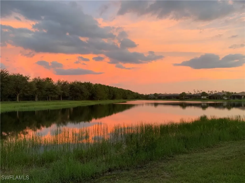 Estero FL, 20309 Black Tree Lane