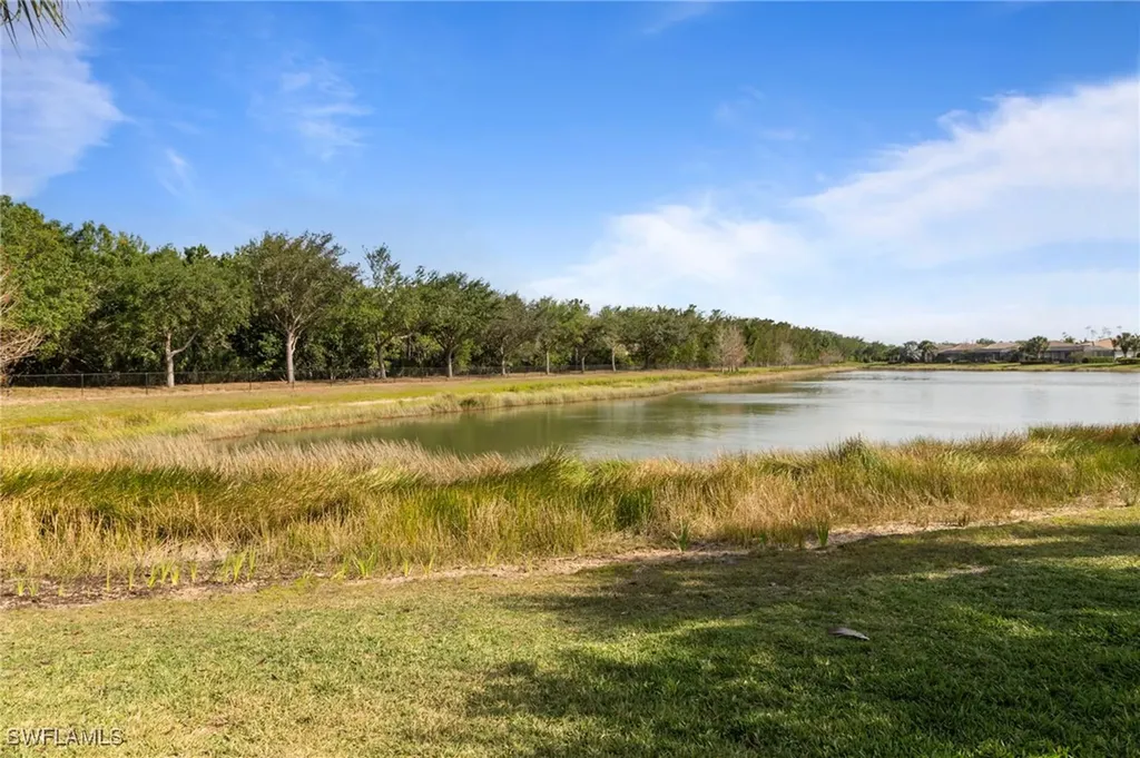 20309 Black Tree Lane Estero FL 33928