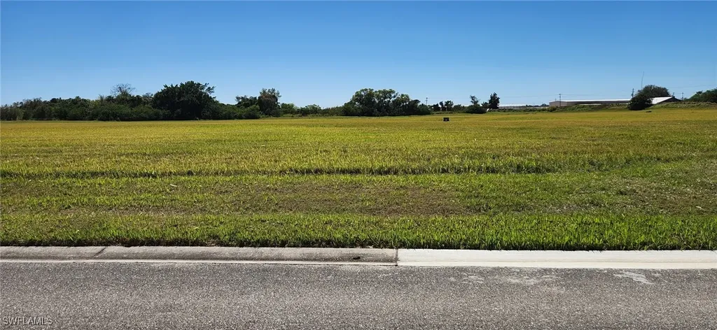 22728 Yellow Button Lane Alva FL 33920