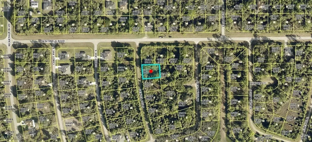 123 Dexter Avenue S Lehigh Acres FL 33974