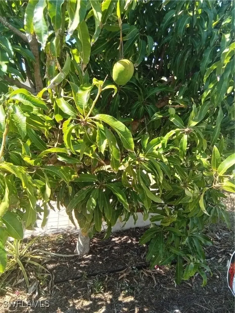 4925 Porky Lane St. James City FL 33956