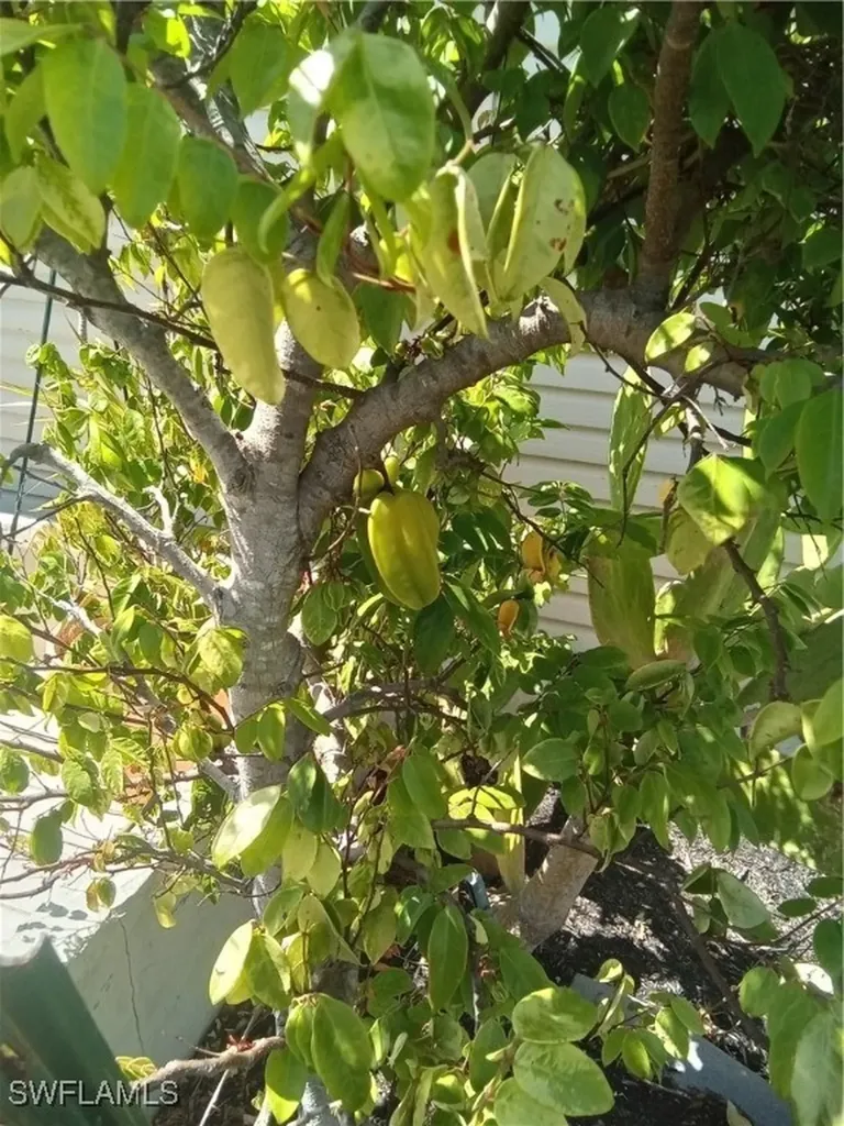 4925 Porky Lane St. James City FL 33956