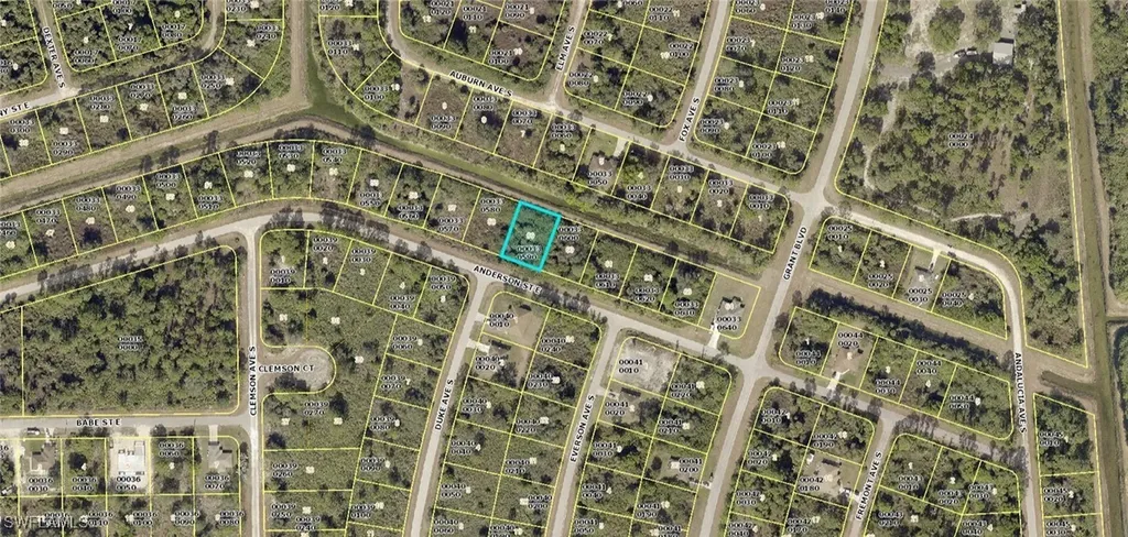 1041 Anderson Street Lehigh Acres FL 33974