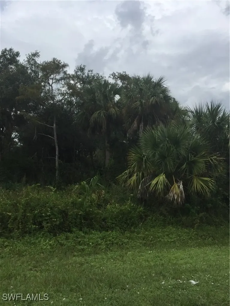 Tbd 22nd Street NE Naples FL 34120