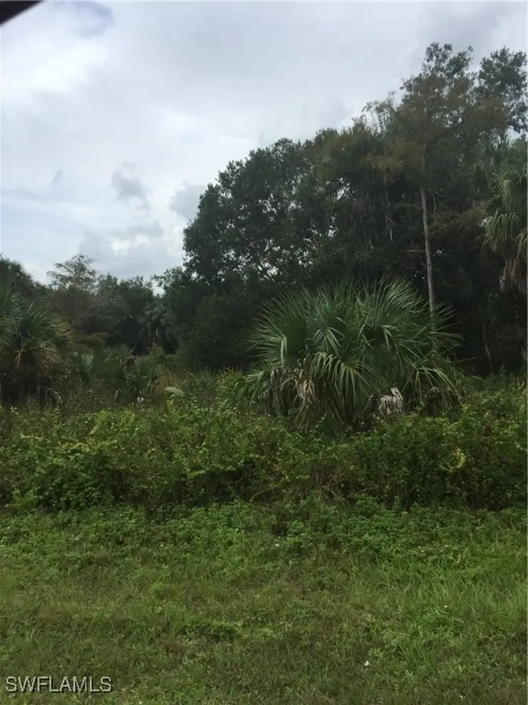 Tbd 22nd Street NE Naples FL 34120