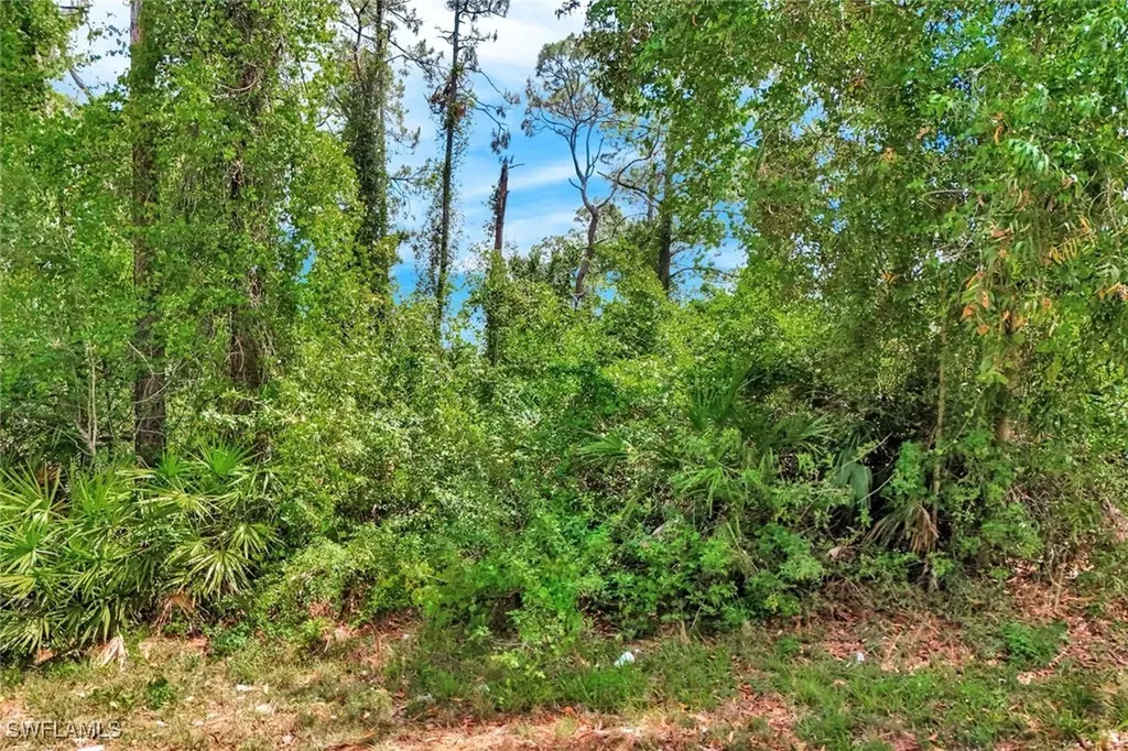 204 John Avenue N Lehigh Acres FL 33971