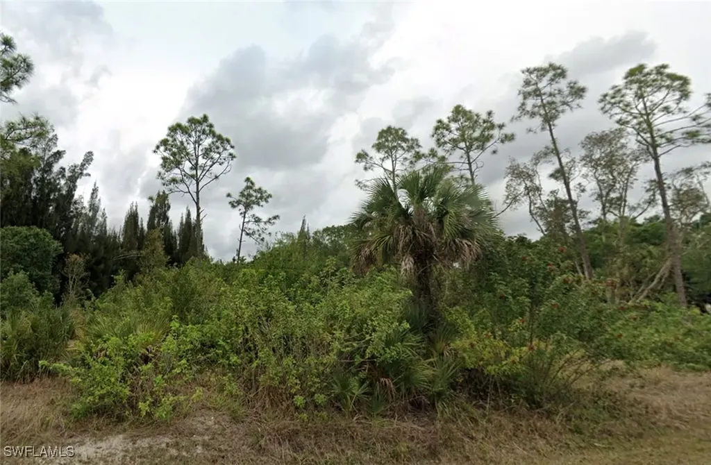 Lehigh Acres FL, 913 Willard Avenue