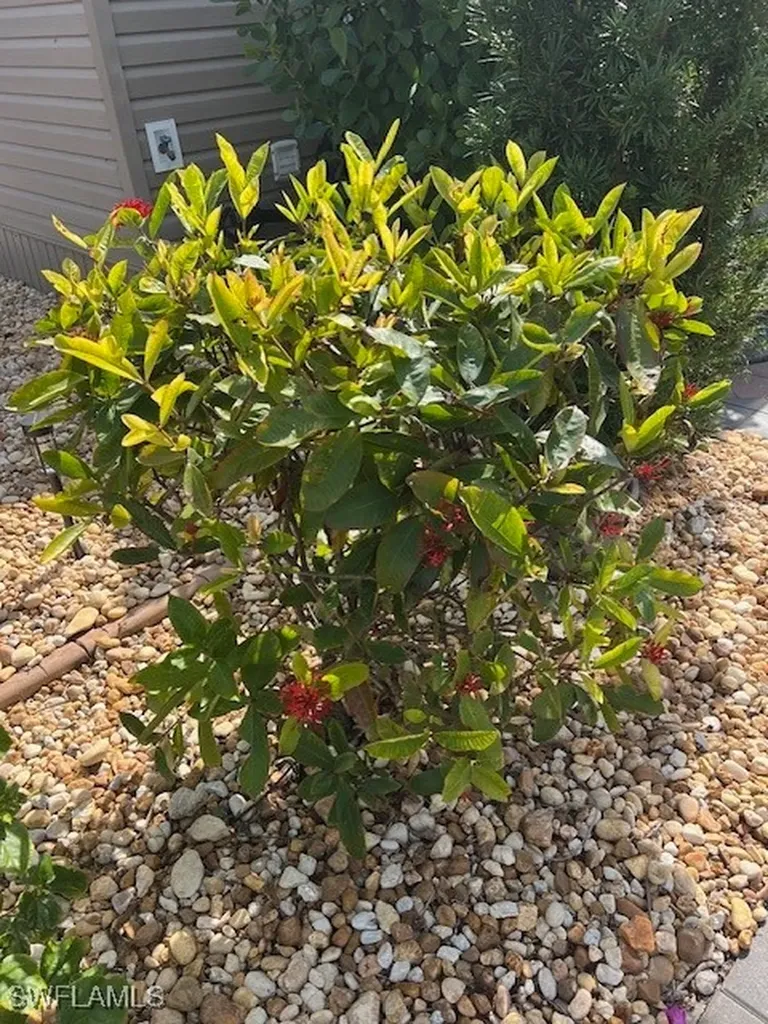 10336 Fire Flag Trail Fort Myers FL 33905