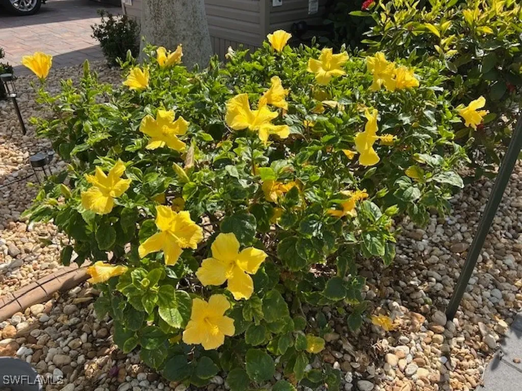 10336 Fire Flag Trail Fort Myers FL 33905