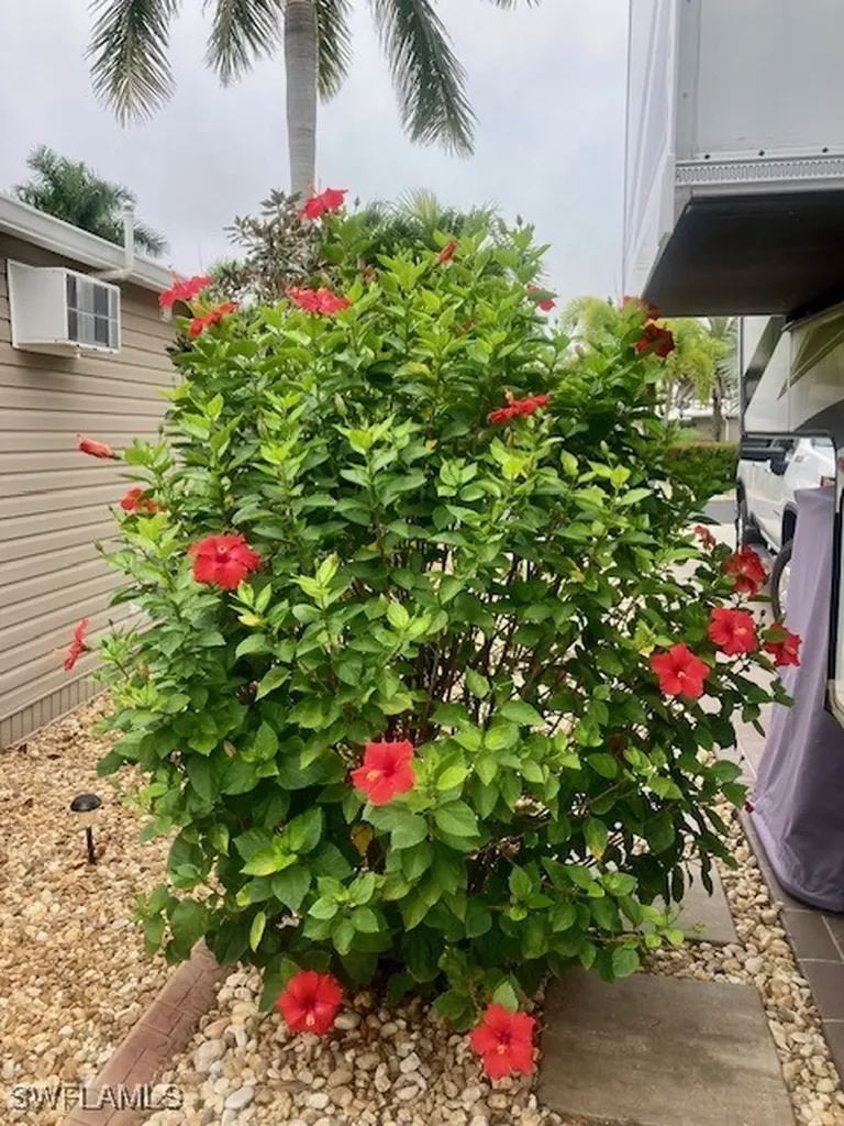 10309 Fire Flag Trail Fort Myers FL 33905