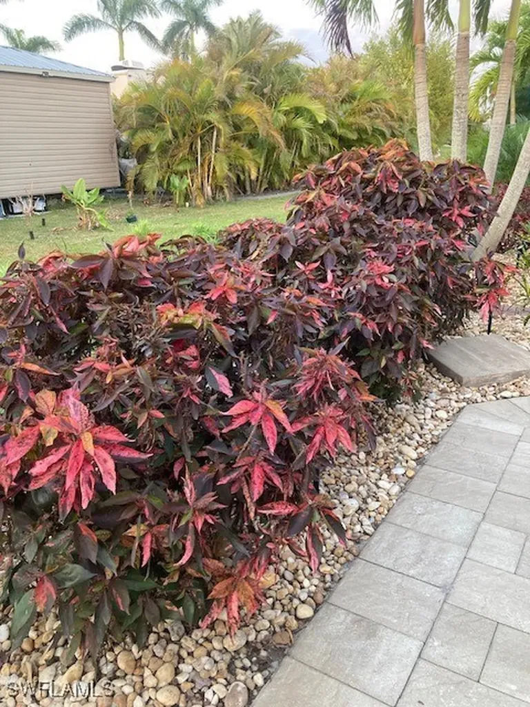 10309 Fire Flag Trail Fort Myers FL 33905