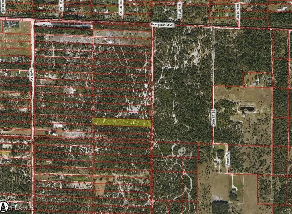 Frangipani Avenue Naples FL 34117