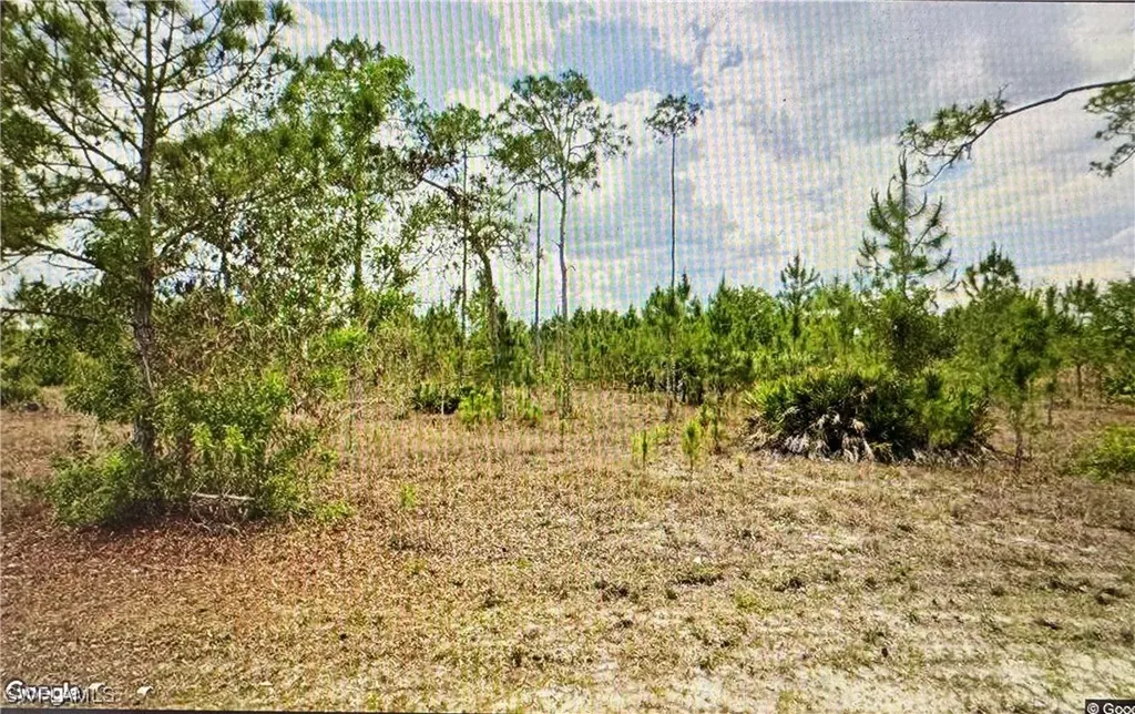 1005 Hamilton Avenue Lehigh Acres FL 33972