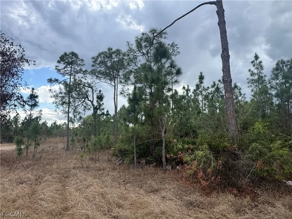 1005 Hamilton Avenue Lehigh Acres FL 33972