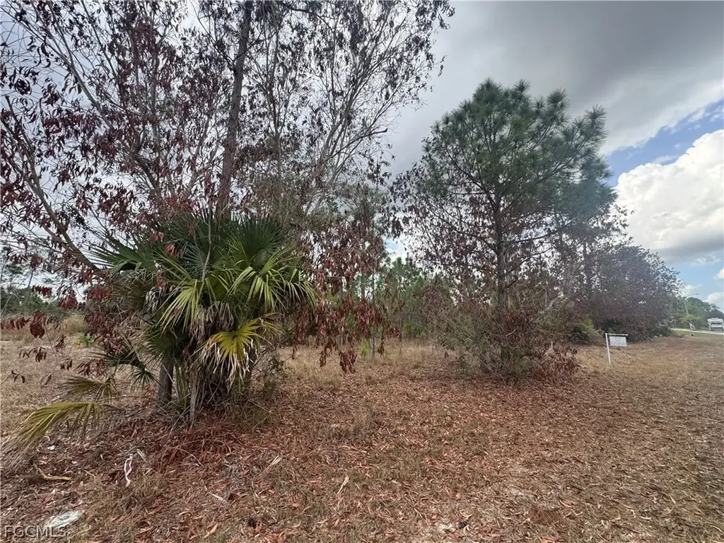 1005 Hamilton Avenue Lehigh Acres FL 33972