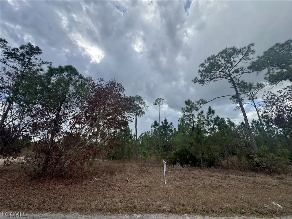 1005 Hamilton Avenue Lehigh Acres FL 33972
