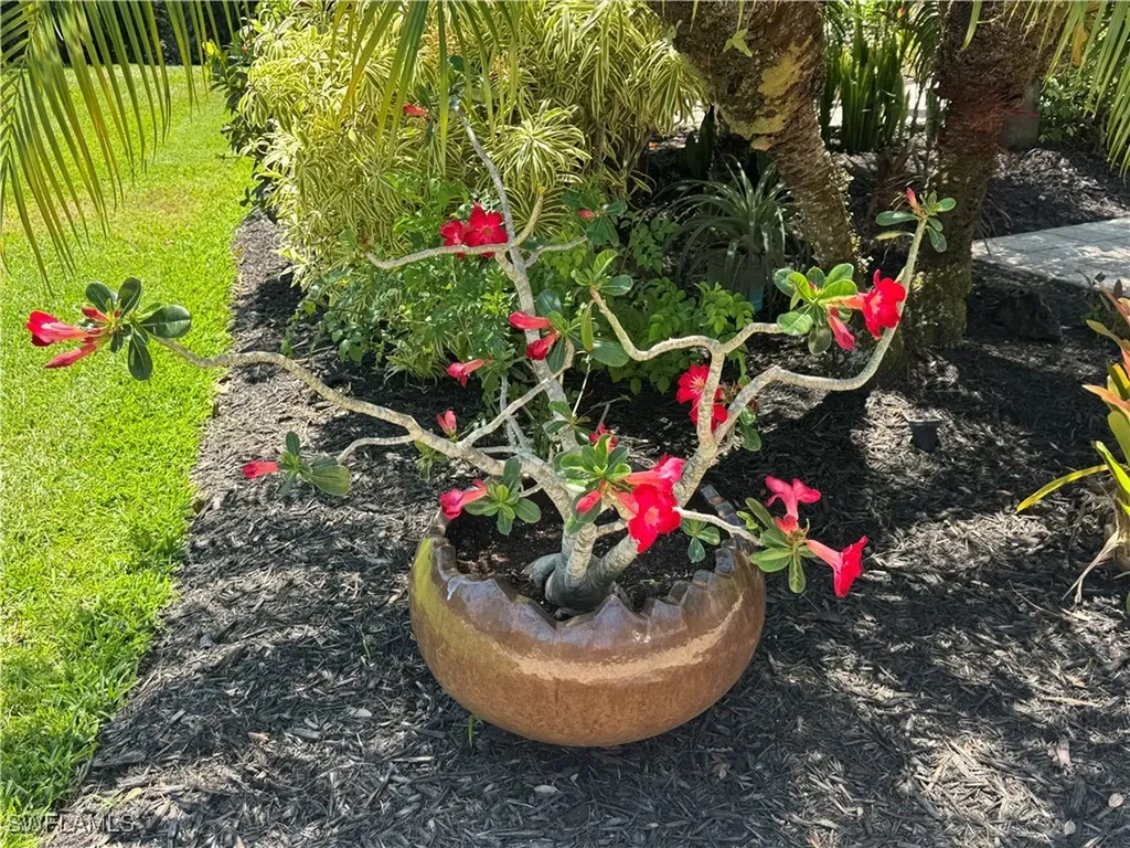 Lot 209 3024 Belle Of Myers Road Labelle FL 33935