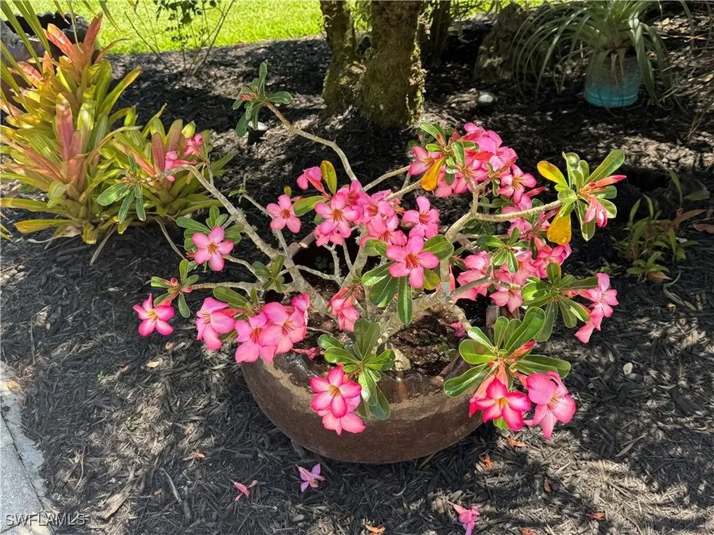 Lot 209 3024 Belle Of Myers Road Labelle FL 33935