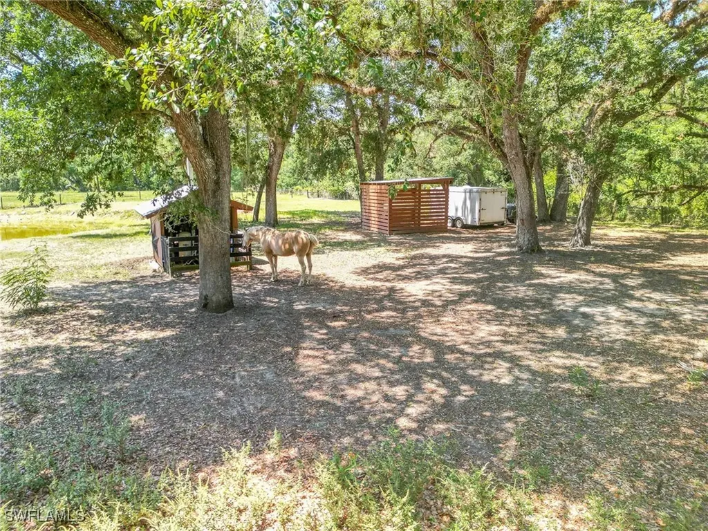 19861 N River Road Alva FL 33920