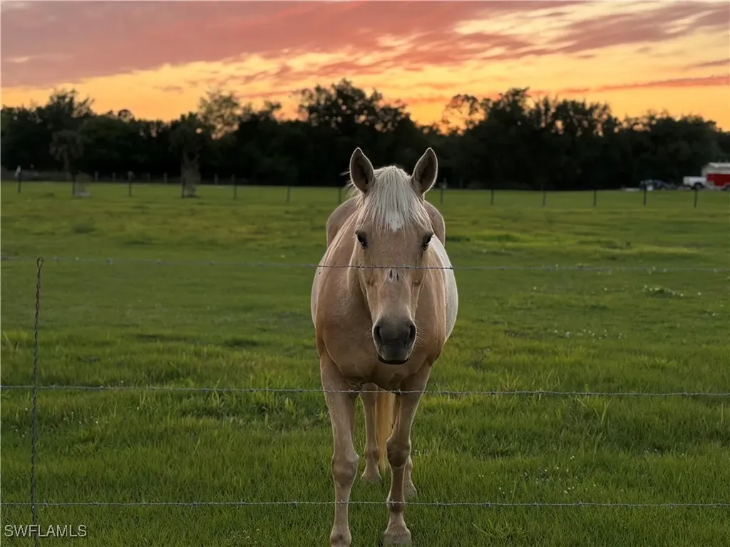 19861 N River Road Alva FL 33920