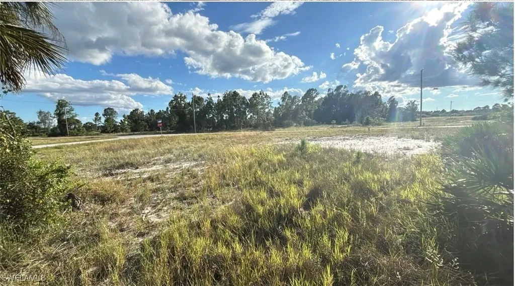 315 Petite Avenue Lehigh Acres FL 33974
