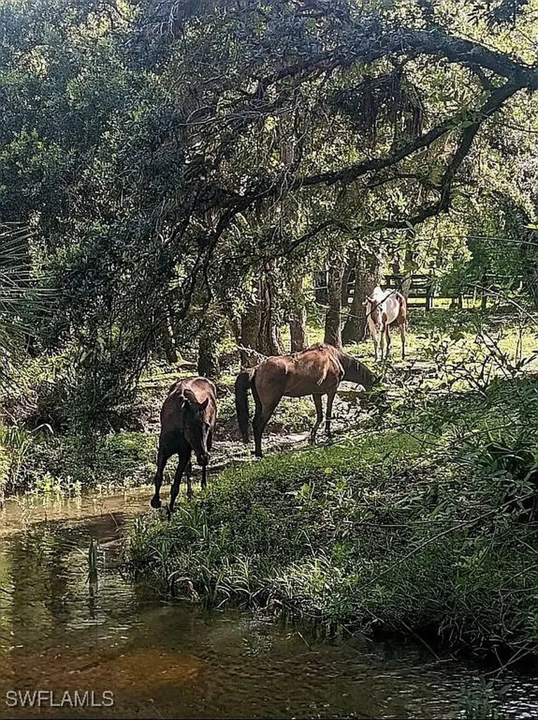 23261 Tuckahoe Road Alva FL 33920