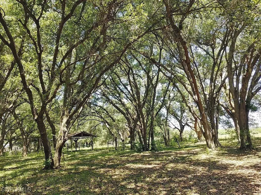 23261 Tuckahoe Road Alva FL 33920