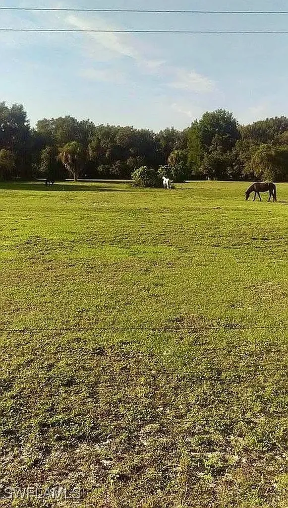 23261 Tuckahoe Road Alva FL 33920