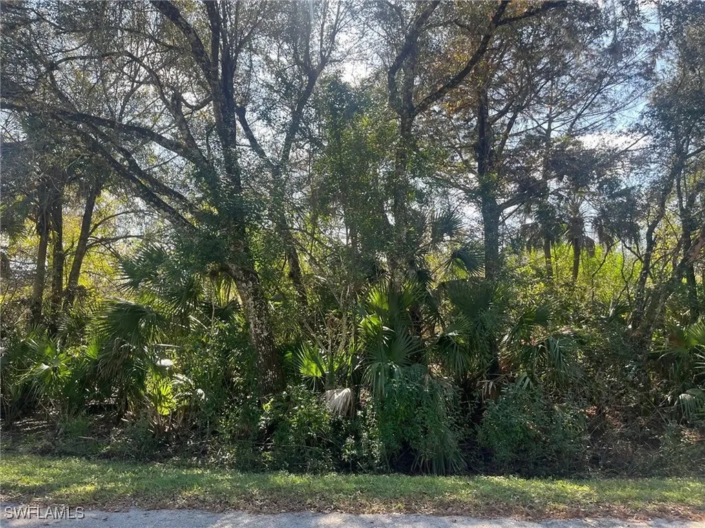 28TH Avenue SE Naples FL 34117