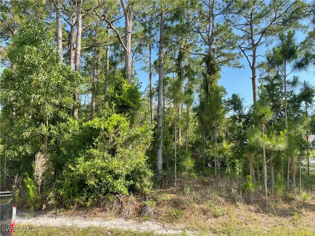 0 29th Avenue Everglades Boulevard Naples FL 34120