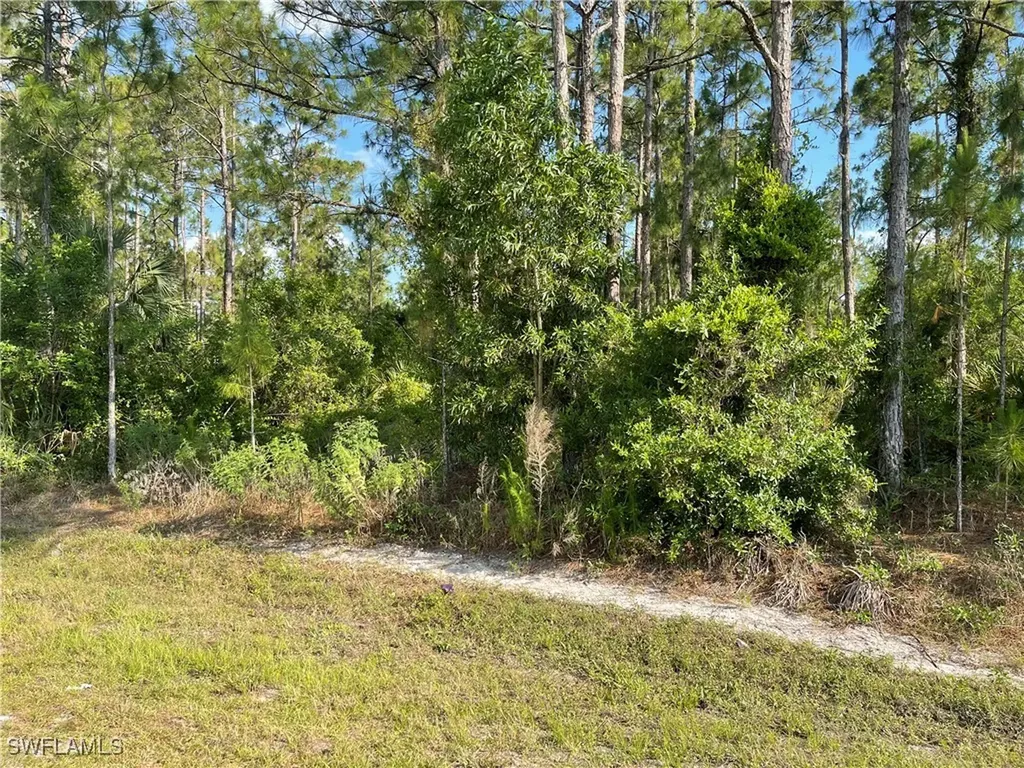 0 29th Ave Everglades Boulevard Naples FL 34120