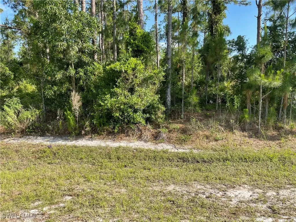 0 29th Ave Everglades Boulevard Naples FL 34120
