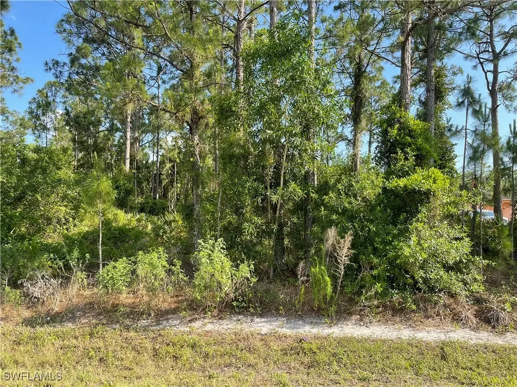 0 29th Ave Everglades Boulevard Naples FL 34120