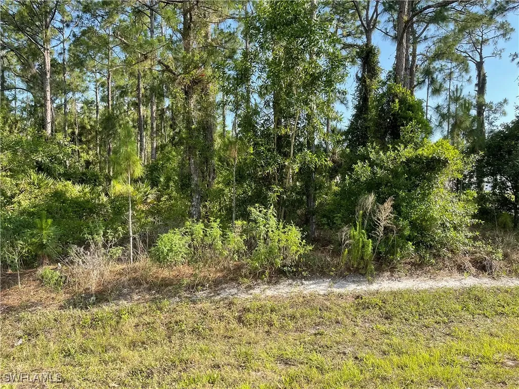 0 29th Ave Everglades Boulevard Naples FL 34120