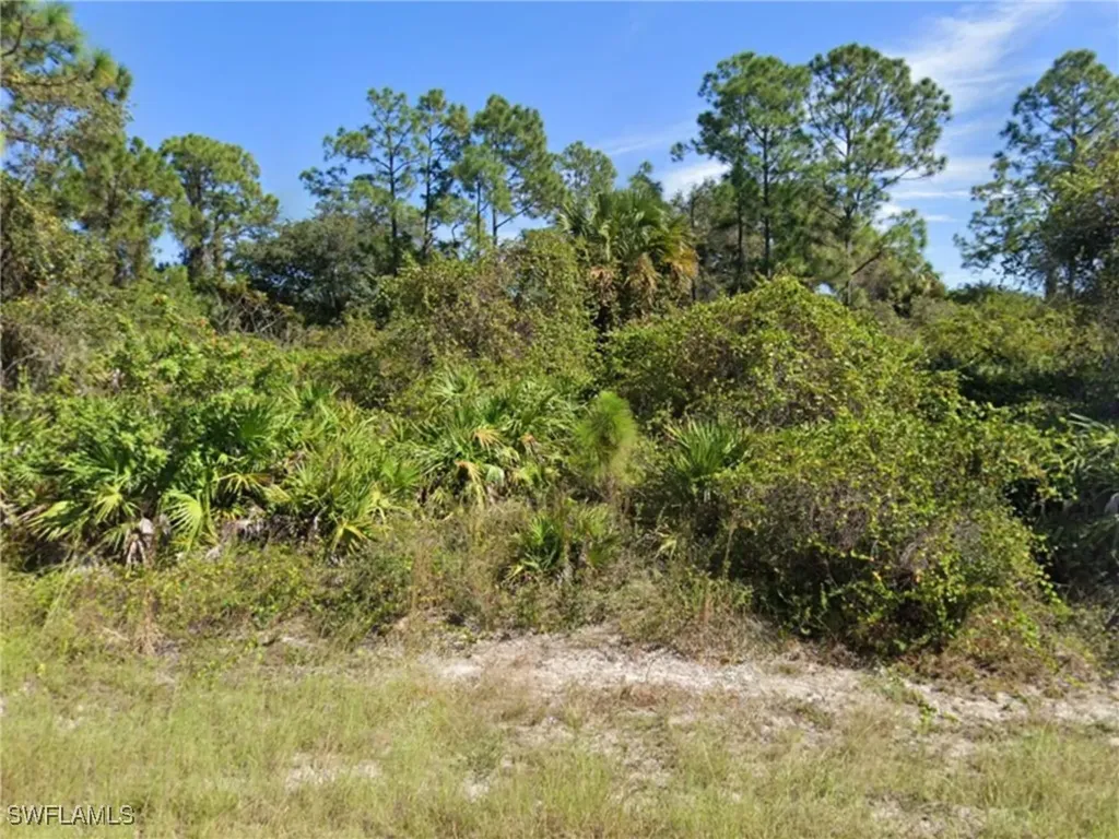 2604 Fitch Avenue Alva FL 33920